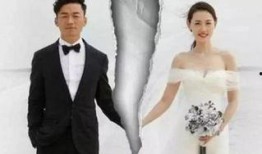 娱乐吃瓜前妻上节目,前妻节目大揭秘，情感纠葛引热议