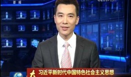 茶陵电视台新闻爆料,重大新闻事件深度解析