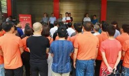 茶陵电视台新闻爆料,重大新闻事件深度解析