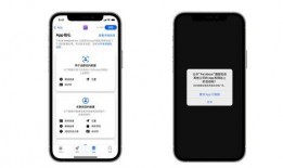 从裸开始手机在线观看,手机在线观看的激情之旅
