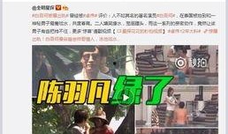 港圈爆料视频解说全集,揭秘娱乐圈幕后真相