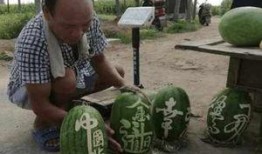 礼县吃瓜网红事件真相视频,真相视频曝光背后的真相