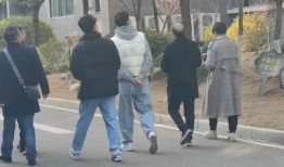 网红大型吃瓜事件,揭秘网络狂欢背后的真相与争议