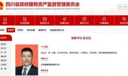 四川新闻如何爆料,聚焦民生热点，共筑舆论监督桥梁