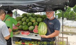 潮汕网红吃瓜事件真相揭秘,揭秘背后真相与争议
