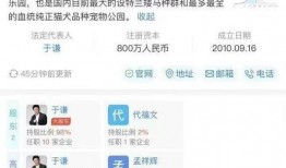 百家每日爆料最新消息,揭秘最新热点事件，追踪社会动态