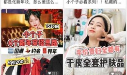 新春小技能爆料视频大全,视频大全揭秘实用技巧