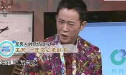 王芳爆料春妮视频播放,王芳揭秘春妮视频播放背后的故事