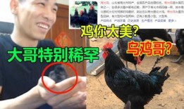 福清鸡哥爆料事件视频最新,真相揭露与网络舆论风暴