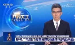 央视新闻爆料代糖,央视曝光其潜在风险与争议