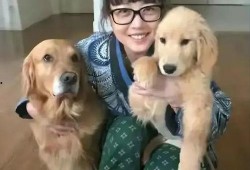 娱乐圈爆料50条狗是谁,揭秘50位明星背后的神秘“狗友”