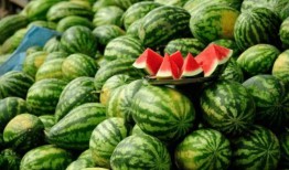 网红吃瓜爆料大全倒放,揭秘娱乐圈幕后真相