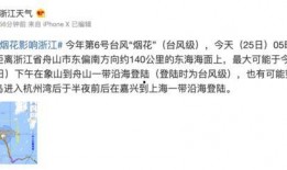 最新台风爆料消息视频,揭秘神秘风暴的行踪与影响