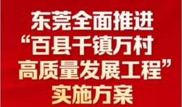 东莞王先生爆料新闻最新,最新劲爆新闻事件揭秘