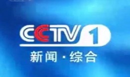 茶陵电视台新闻爆料,重大新闻事件深度解析