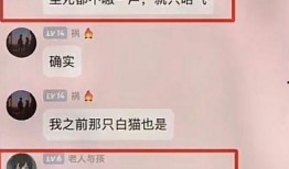 杰克辣条被人爆料视频在线观看,揭秘网络爆料的真相与影响
