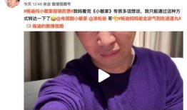 杨迪爆料妈妈视频,温馨日常引发网友热议