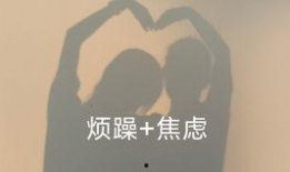 张聪邻居爆料视频,张聪家中惊人一幕，视频曝光引热议