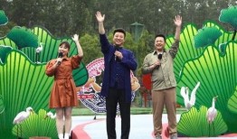 桃源剑阁爆料视频最新消息,神秘事件揭秘，剑道巅峰再起风云