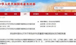 汝州热点爆料新闻视频下载,最新爆料新闻视频回顾
