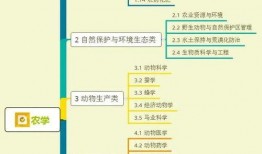 大转盘新车爆料视频大全,视频大全揭秘最新车型风采