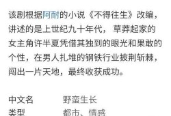 二次合作最新爆料,揭秘幕后故事与精彩看点