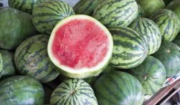 网红吃瓜爆料大全倒放,揭秘娱乐圈幕后真相