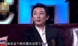 娱乐爆料王思聪视频播放,揭秘娱乐圈背后的奢华生活