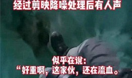 鸡东爆料真实事件视频,惊曝真实事件视频，真相令人震惊！