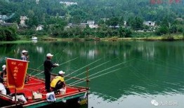 钓鱼爆料视频最新消息,惊心动魄的捕鱼瞬间！