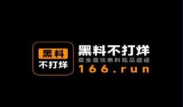 热门爆料黑料不打烊最新,热门爆料背后的真相与争议