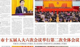 信宜最新爆料新闻报道,揭秘背后惊人真相！