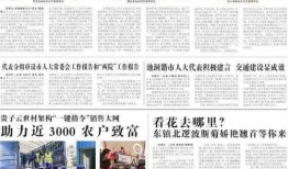 信宜最新爆料新闻报道,揭秘背后惊人真相！