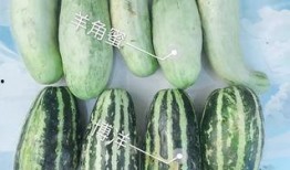 最新吃瓜爆料网红是谁,揭秘最新吃瓜爆料主角是谁？