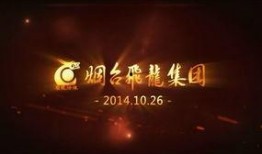 新闻爆料飞闪视频,揭秘新闻爆料背后的真相