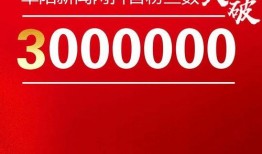 阜阳新闻网怎么爆料,携手共建，共筑舆论监督桥梁——爆料通道全面开启