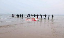 爆料秦皇岛新闻 电话,最新爆料电话揭露惊人内幕