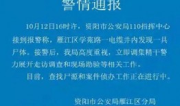 四川资阳爆料新闻最新,最新爆料揭示惊人真相，事件详情引关注