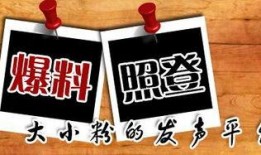 新闻爆料话术,揭秘新闻背后的惊人真相