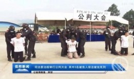 佤邦学生爆料新闻视频,揭秘校园内幕