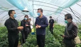 西北农林爆料最新消息今天,重大科研成果引发行业关注！”