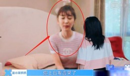 赵小棠爆料视频,娱乐圈背后的真实故事