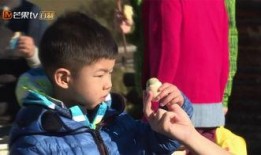 安吉爆料爸爸出轨视频,视频曝光引发舆论风暴