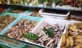 延边美食爆料事件视频,探寻朝鲜族风味背后的故事