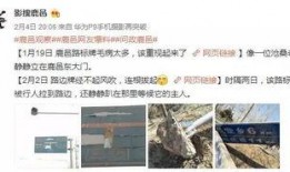 鹿邑三高最新爆料事件,校园事件引发社会关注