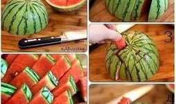 蠢沫沫免费吃瓜,蠢沫沫带你免费畅享瓜界盛宴