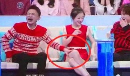 娱乐吃瓜前妻上节目,前妻节目大揭秘，情感纠葛引热议