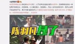 赵辰宇出轨爆料视频合集,揭秘娱乐圈的隐秘真相