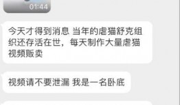 杰克辣条被人爆料视频在线观看,揭秘网络爆料的真相与影响