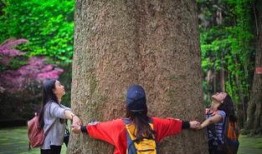 刘二妮徒步爆料视频播放,揭秘徒步旅行中的真实瞬间